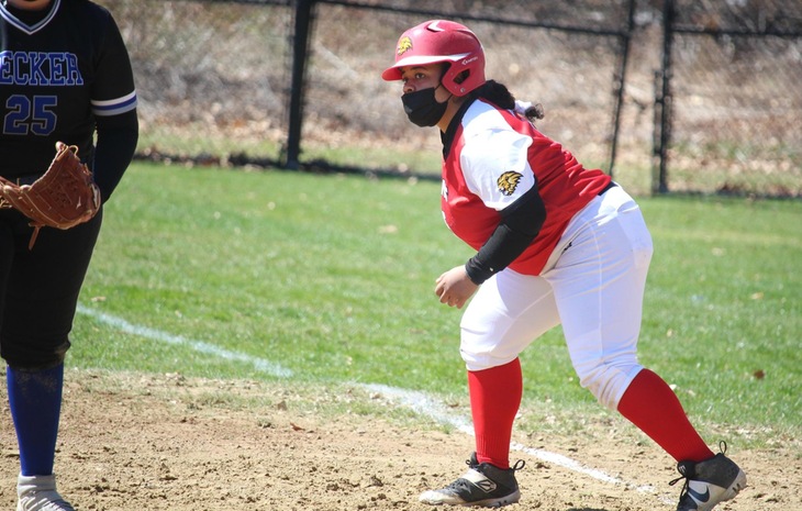 Softball Drops Two to New England College