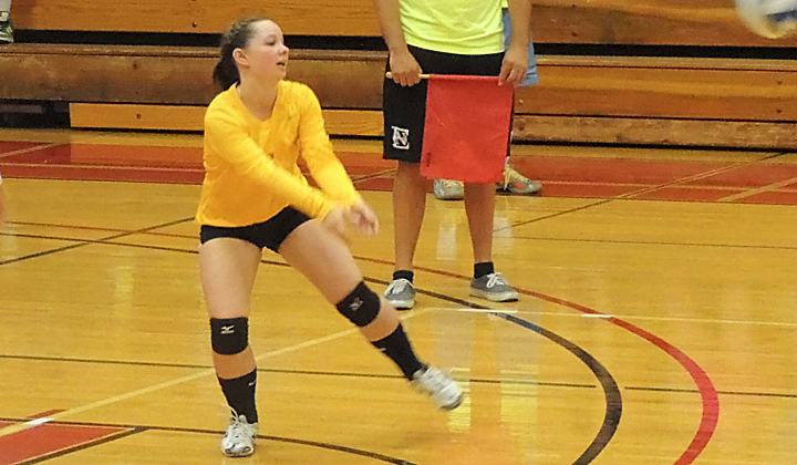 Volleyball Swept in CCC Opener by University of New England
