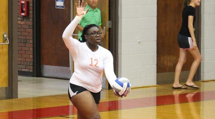 Volleyball Absorbs 3-0 Loss to Lesley in Home Debut