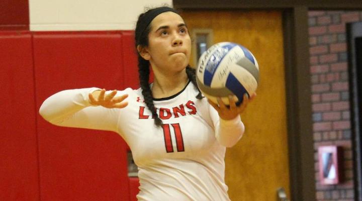 Women’s Volleyball Downed at Western New England in CCC Opener, 3-0