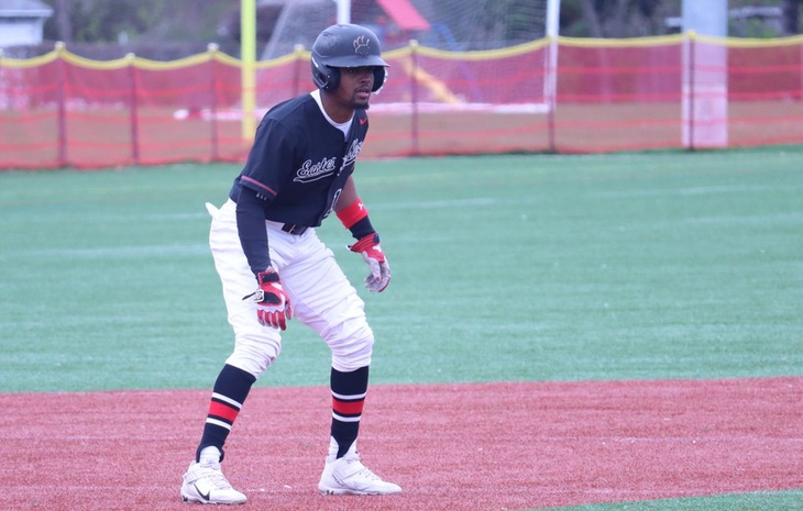 Elvis Rojas Claims Fifth NECC Baseball Rookie of the Week Honor