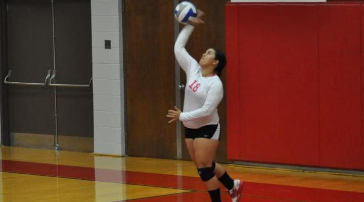 Volleyball Falls to Regis, WPI in First Matches of 2013