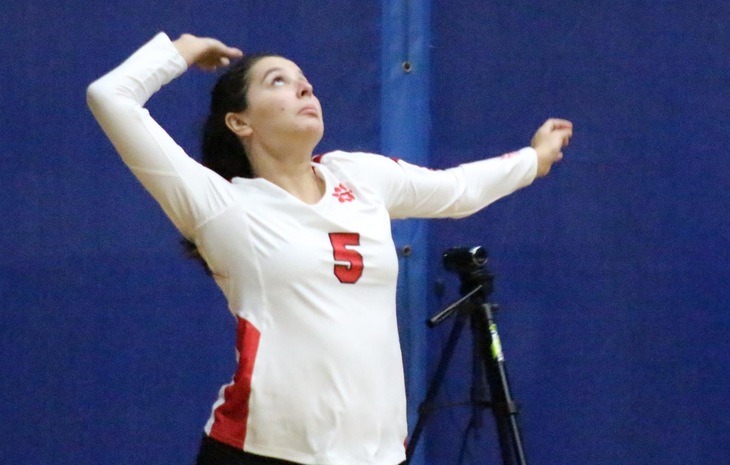 Women’s Volleyball Edged at New England College, 3-2