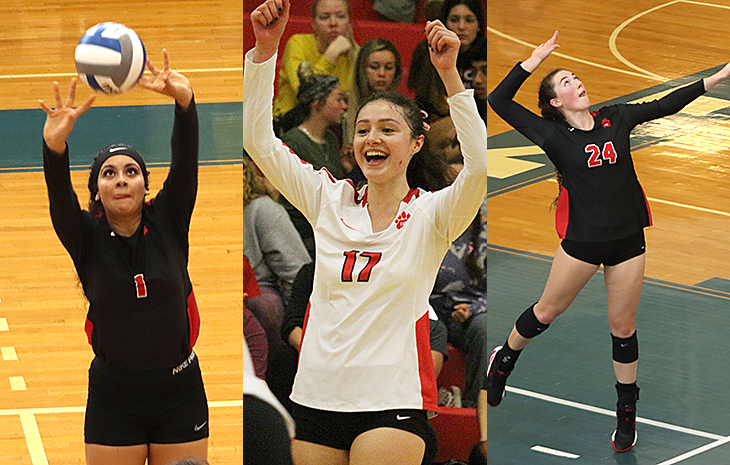 Women’s Volleyball Garners Three All-NECC Selections; Eliana Baran Named Player and Rookie of the Year, Schmitt Voted Co-Coach of the Year